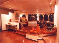 Hotel Jaisamand Island Resort